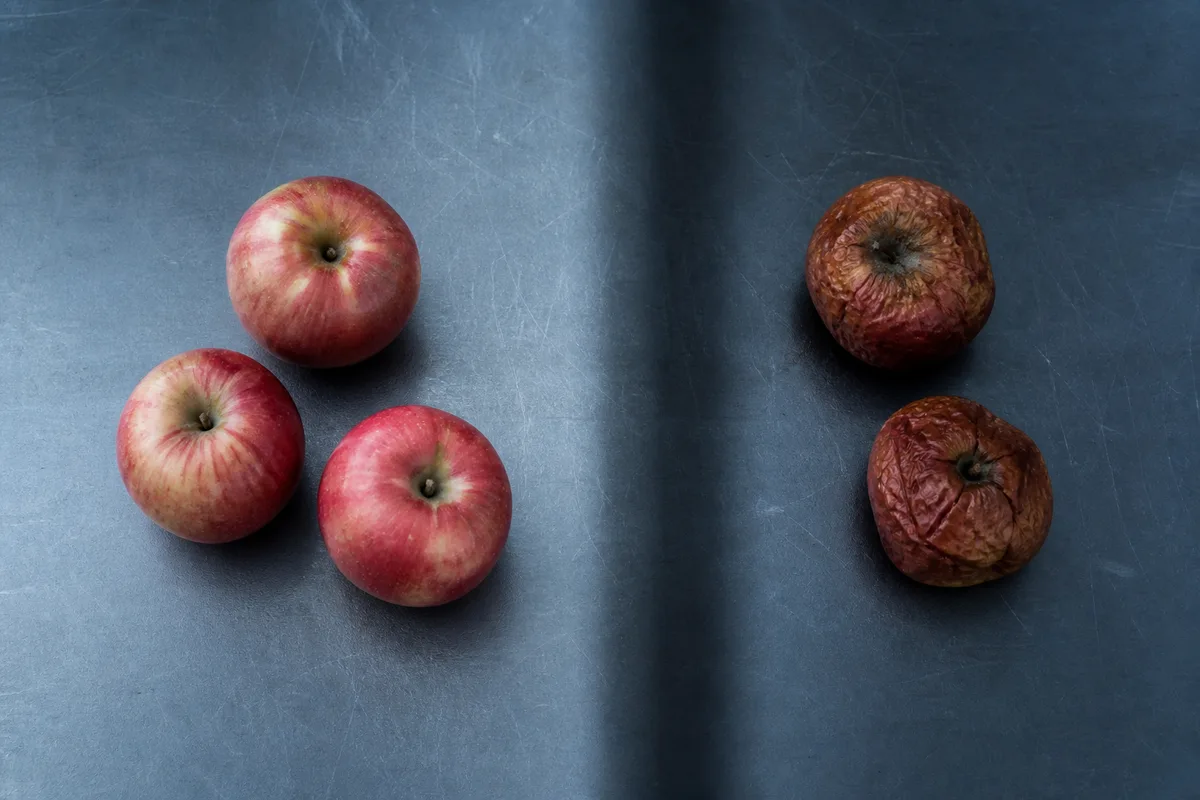 Fruits abîmés écartés d'un tri sur un plan de travail sombre